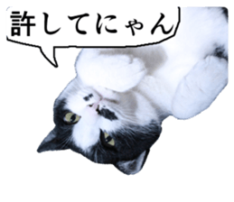 Cry at the heart of animals Part2 sticker #14081819