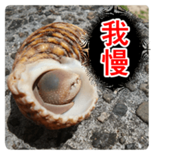 Cry at the heart of animals Part2 sticker #14081829