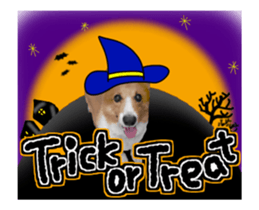 Dog and events sticker #14082354