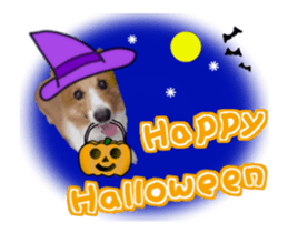 Dog and events sticker #14082355