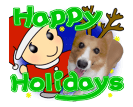 Dog and events sticker #14082357