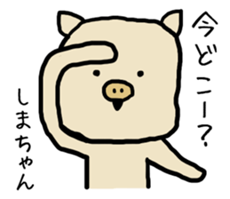 Shimachan pig sticker #14082542