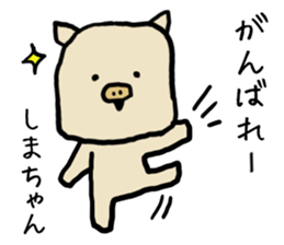 Shimachan pig sticker #14082545