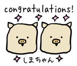 Shimachan pig sticker #14082546