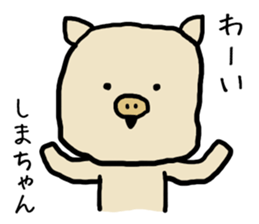 Shimachan pig sticker #14082548