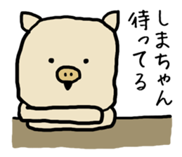Shimachan pig sticker #14082554