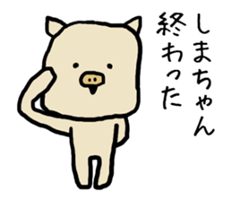 Shimachan pig sticker #14082555