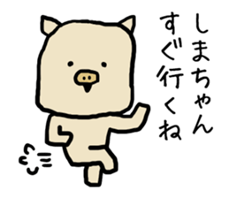 Shimachan pig sticker #14082556