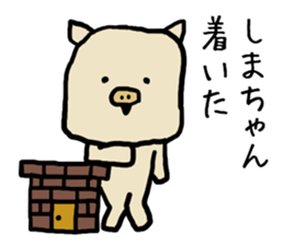 Shimachan pig sticker #14082557