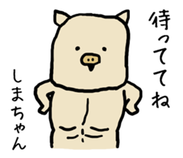 Shimachan pig sticker #14082558