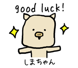 Shimachan pig sticker #14082559