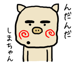 Shimachan pig sticker #14082561