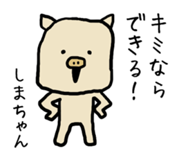 Shimachan pig sticker #14082562