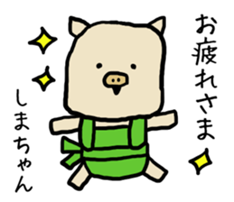 Shimachan pig sticker #14082563