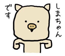 Shimachan pig sticker #14082566