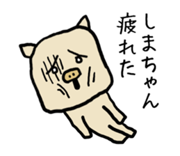 Shimachan pig sticker #14082567