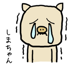 Shimachan pig sticker #14082568