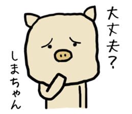 Shimachan pig sticker #14082570