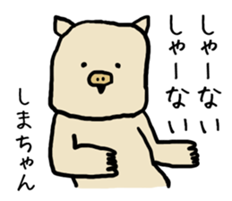 Shimachan pig sticker #14082571
