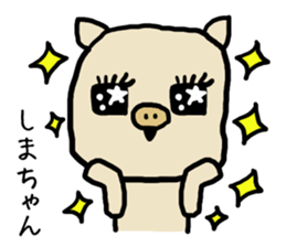 Shimachan pig sticker #14082572