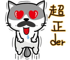 23Me+23Meow-Powerful Daily Phrases_02 sticker #14083091