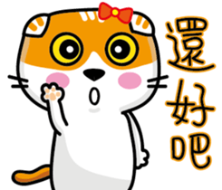 23Me+23Meow-Powerful Daily Phrases_02 sticker #14083104