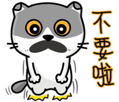 23Me+23Meow-Powerful Daily Phrases_02 sticker #14083109