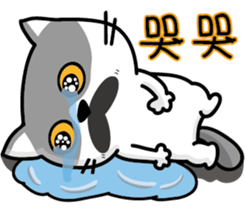 23Me+23Meow-Powerful Daily Phrases_02 sticker #14083115