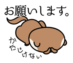 Japanese very cute ferret sticker #14084307