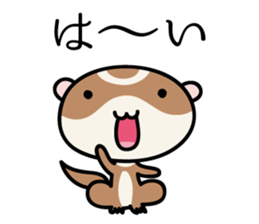 Japanese very cute ferret sticker #14084317
