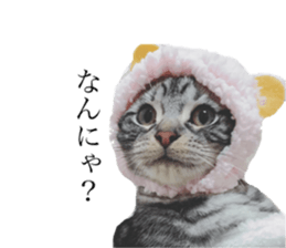 catcatcat stamp sticker #14085520