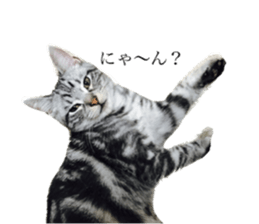 catcatcat stamp sticker #14085523