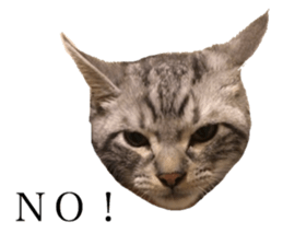 catcatcat stamp sticker #14085529