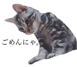 catcatcat stamp sticker #14085533