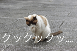 Park Cats sticker #14085735