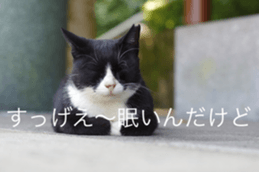 Park Cats sticker #14085736