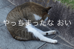 Park Cats sticker #14085744