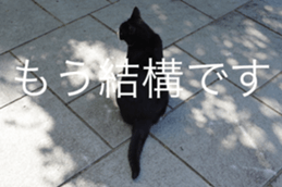 Park Cats sticker #14085749