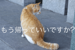 Park Cats sticker #14085750