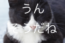 Park Cats sticker #14085751