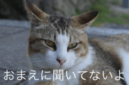 Park Cats sticker #14085752