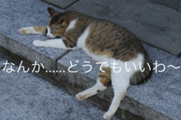 Park Cats sticker #14085753