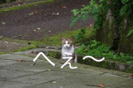 Park Cats sticker #14085754