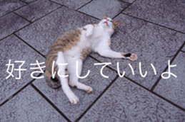 Park Cats sticker #14085755