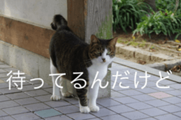 Park Cats sticker #14085756