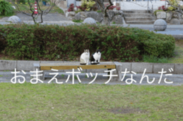 Park Cats sticker #14085758