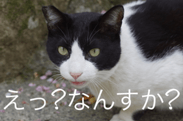 Park Cats sticker #14085762