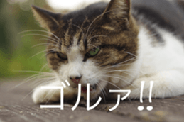 Park Cats sticker #14085763