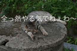 Park Cats sticker #14085765