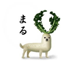 VEGETABLE DOG sticker #14086527
